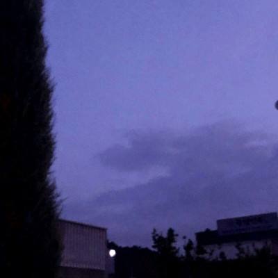 电玩城金鲨银鲨app下载