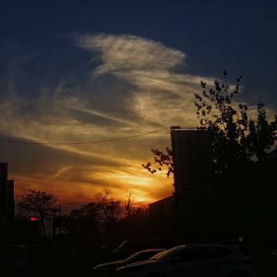 365平台下载下载手机版截图