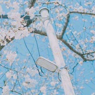 半岛手机网页版登录入口