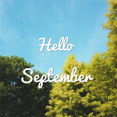 澳门新葡萄新京8883手机app下载