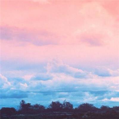 加拿大pc入口下载手机版